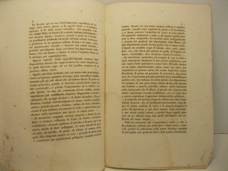 Cenno intorno all'esposizione annuale del 1853 della società d'orticoltura di Parigi e centrale della Francia